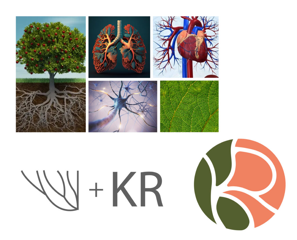 PORTFOLIO - BRANDING-06